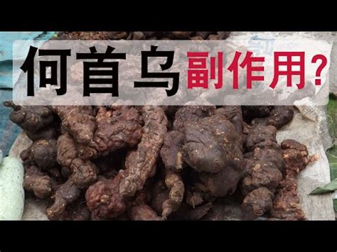 何首烏什麼人不能吃|找回黑髮、防癌抗發炎！超級食材何首烏，5種人少吃